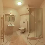 Fatrapark 1 S Wellnessom Hrabovska Dolina Apartament Rużomberk